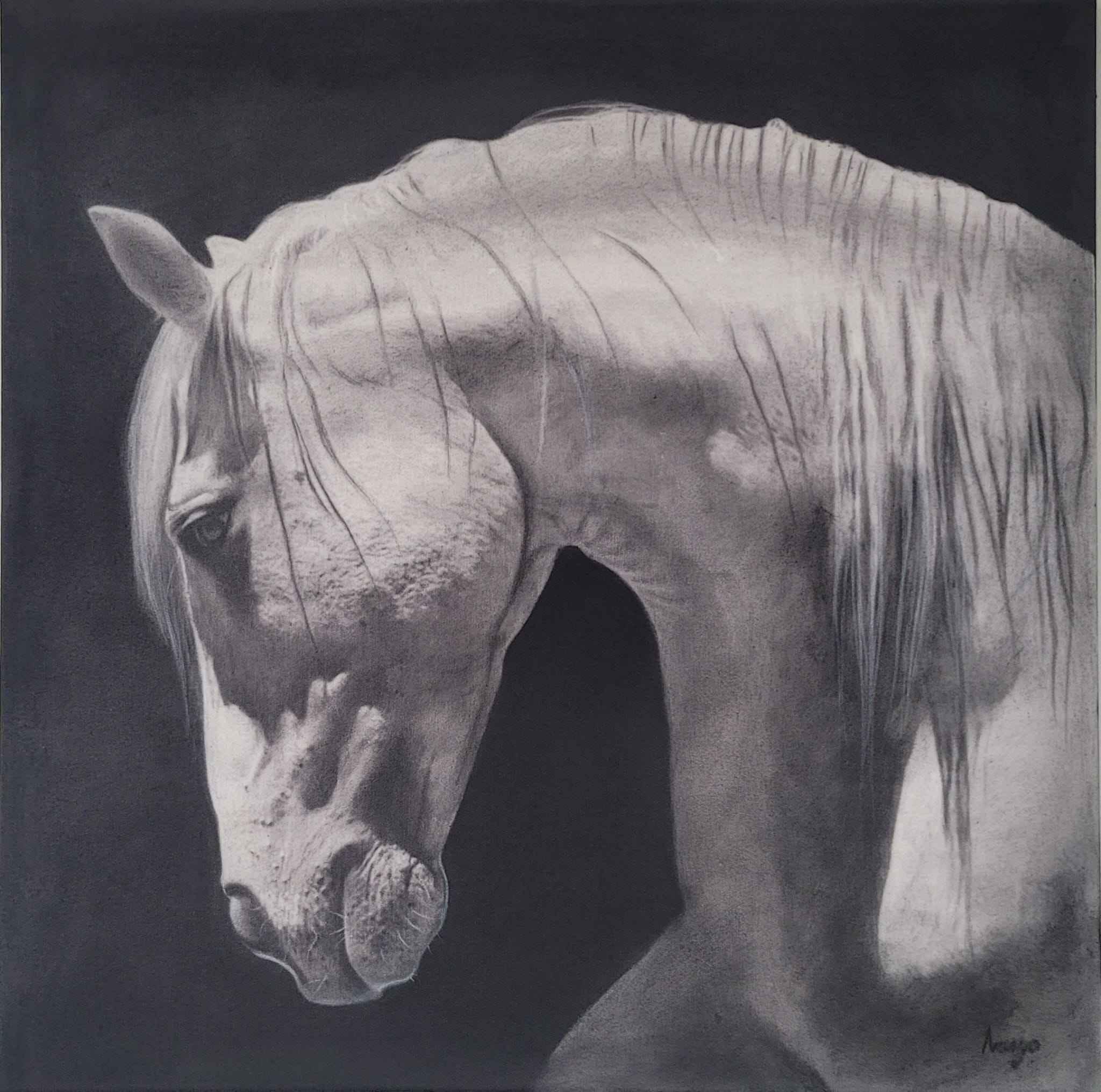 WH Principal_1683053947.jpg